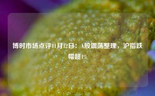 博时市场点评11月12日：A股震荡整理，沪指跌幅超1%