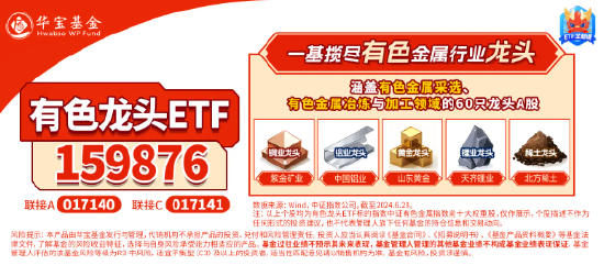 近150亿主力资金狂涌！有色龙头ETF（159876）单日飙涨3．89%！稀土异动拉升，北方稀土等6股涨停！-第6张图片-比分网