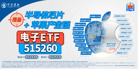 科技自主可控大爆发！电子ETF（515260）怒涨3%，上探年内高点！华大九天20CM涨停-第2张图片-比分网