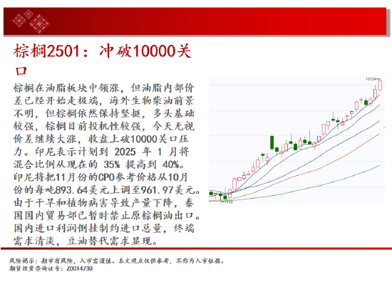 中天期货:生猪底部大震荡 橡胶站上18000-第13张图片-比分网