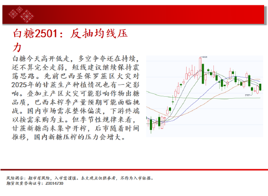 中天期货:生猪底部大震荡 橡胶站上18000-第15张图片-比分网