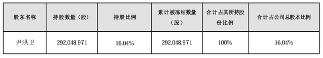 大股东持股遭八次轮候冻结，岭南股份流动性危机何解-第1张图片-比分网