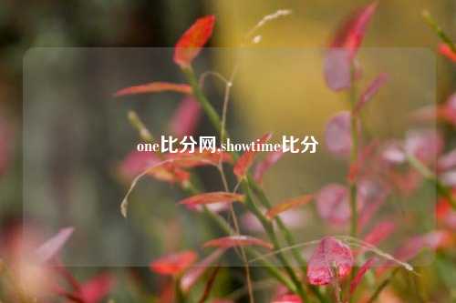 one比分网,showtime比分-第1张图片-比分网