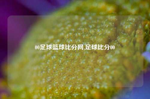 00足球篮球比分网,足球比分00-第1张图片-比分网