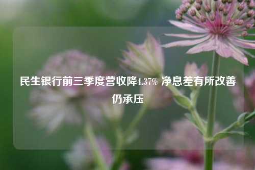 民生银行前三季度营收降4.37% 净息差有所改善仍承压-第1张图片-比分网