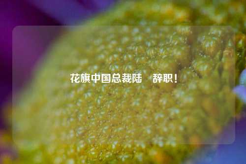 花旗中国总裁陆烜辞职！-第1张图片-比分网