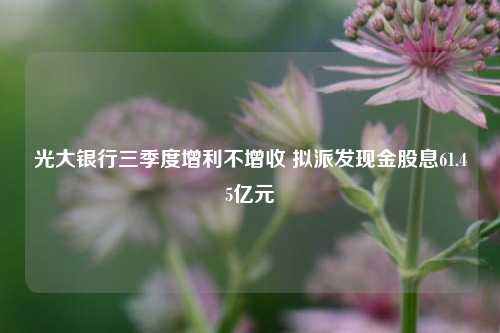 光大银行三季度增利不增收 拟派发现金股息61.45亿元-第1张图片-比分网