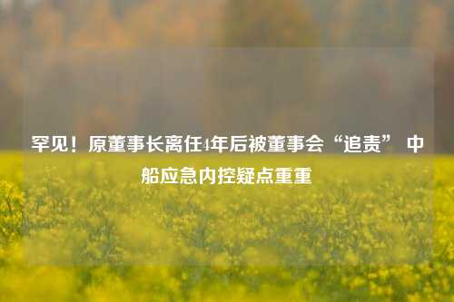 罕见！原董事长离任4年后被董事会“追责” 中船应急内控疑点重重-第1张图片-比分网