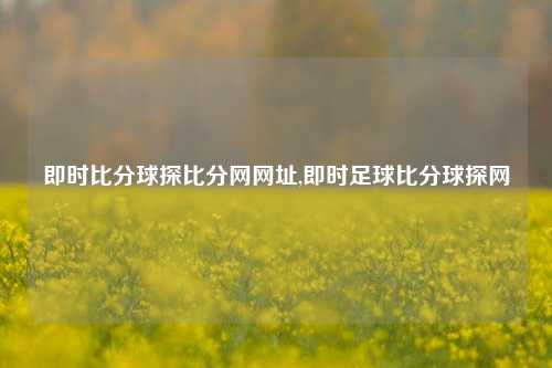 即时比分球探比分网网址,即时足球比分球探网-第1张图片-比分网