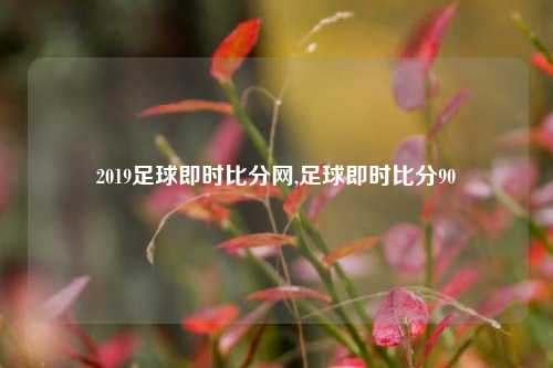 2019足球即时比分网,足球即时比分90-第1张图片-比分网