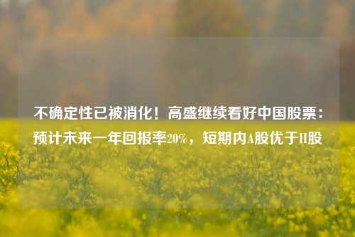 不确定性已被消化！高盛继续看好中国股票：预计未来一年回报率20%，短期内A股优于H股-第1张图片-比分网