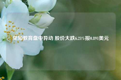 见知教育盘中异动 股价大跌6.21%报0.891美元-第1张图片-比分网