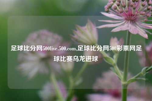 足球比分网500live.500.com,足球比分网500彩票网足球比赛乌龙进球-第1张图片-比分网