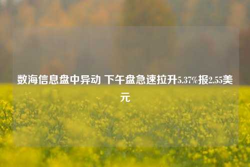 数海信息盘中异动 下午盘急速拉升5.37%报2.55美元-第1张图片-比分网