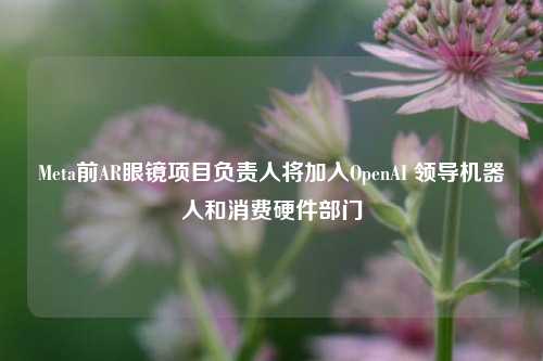 Meta前AR眼镜项目负责人将加入OpenAI 领导机器人和消费硬件部门-第1张图片-比分网