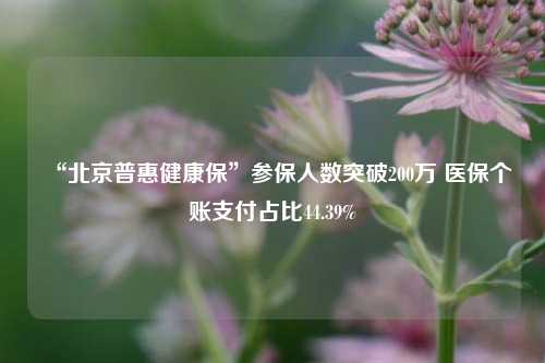 “北京普惠健康保”参保人数突破200万 医保个账支付占比44.39%-第1张图片-比分网