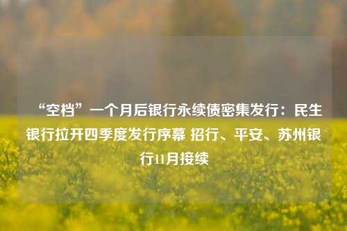 “空档”一个月后银行永续债密集发行：民生银行拉开四季度发行序幕 招行、平安、苏州银行11月接续-第1张图片-比分网