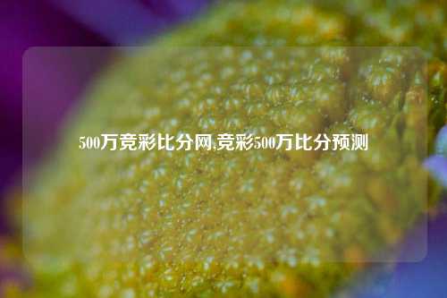 500万竞彩比分网,竞彩500万比分预测-第1张图片-比分网