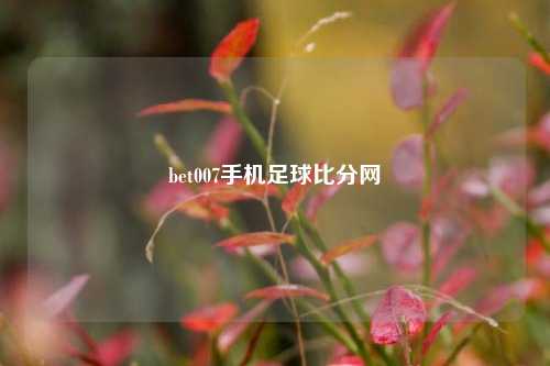 bet007手机足球比分网-第1张图片-比分网