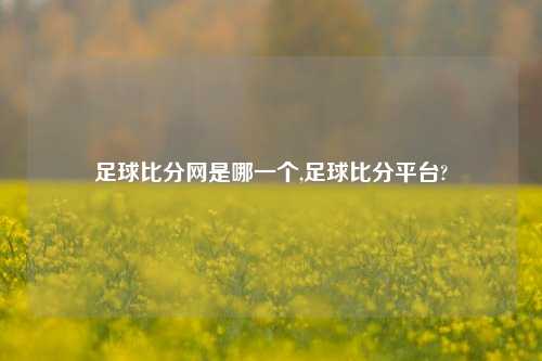 足球比分网是哪一个,足球比分平台?-第1张图片-比分网