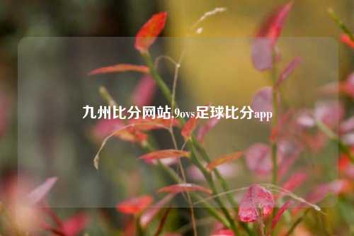 九州比分网站,9ovs足球比分app-第1张图片-比分网