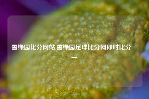 雪缘园比分网站,雪缘园足球比分网即时比分一一-第1张图片-比分网