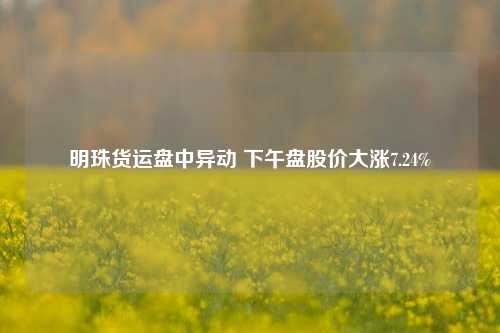 明珠货运盘中异动 下午盘股价大涨7.24%-第1张图片-比分网