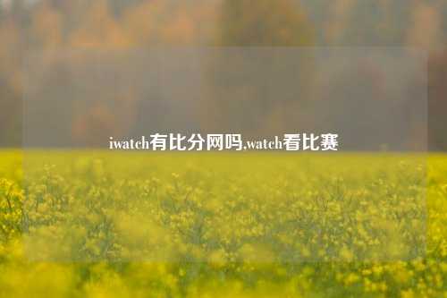 iwatch有比分网吗,watch看比赛-第1张图片-比分网