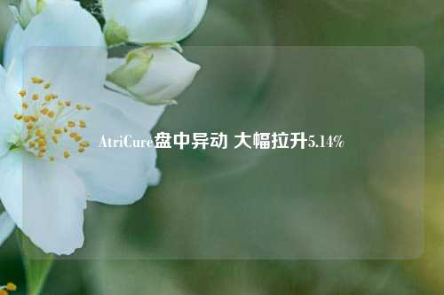 AtriCure盘中异动 大幅拉升5.14%-第1张图片-比分网