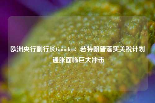 欧洲央行副行长Guindos：若特朗普落实关税计划 通胀面临巨大冲击-第1张图片-比分网