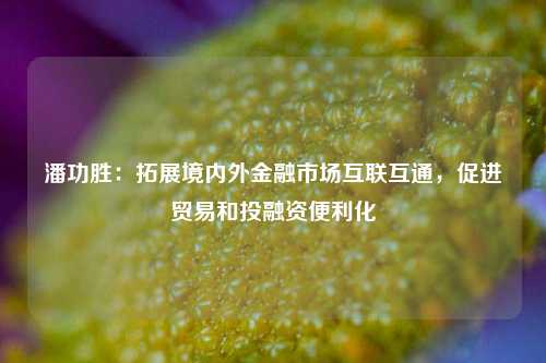 潘功胜：拓展境内外金融市场互联互通，促进贸易和投融资便利化-第1张图片-比分网