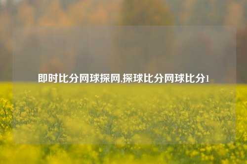 即时比分网球探网,探球比分网球比分1-第1张图片-比分网