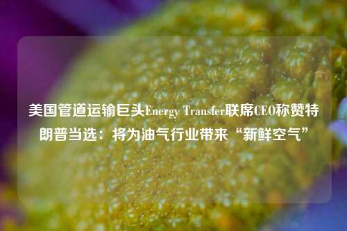 美国管道运输巨头Energy Transfer联席CEO称赞特朗普当选：将为油气行业带来“新鲜空气”-第1张图片-比分网