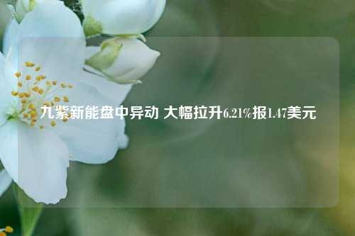 九紫新能盘中异动 大幅拉升6.21%报1.47美元-第1张图片-比分网