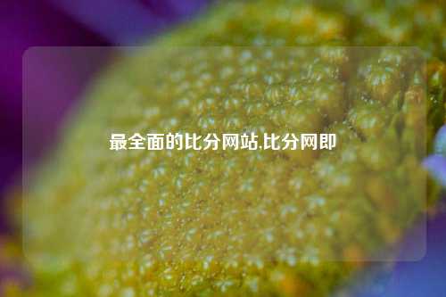 最全面的比分网站,比分网即-第1张图片-比分网