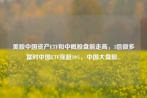 美股中国资产ETF和中概股盘前走高，3倍做多富时中国ETF涨超10%，中国大盘股...-第1张图片-比分网