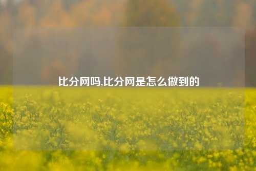 比分网吗,比分网是怎么做到的-第1张图片-比分网