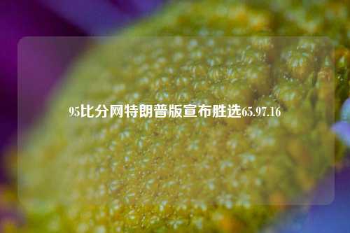 95比分网特朗普版宣布胜选65.97.16-第1张图片-比分网