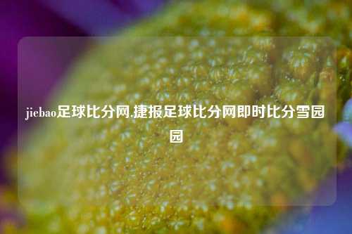 jiebao足球比分网,捷报足球比分网即时比分雪园园-第1张图片-比分网