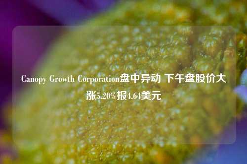 Canopy Growth Corporation盘中异动 下午盘股价大涨5.20%报4.64美元-第1张图片-比分网