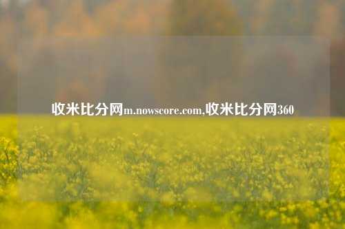 收米比分网m.nowscore.com,收米比分网360-第1张图片-比分网