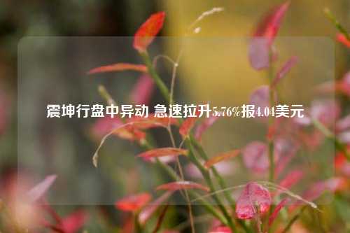 震坤行盘中异动 急速拉升5.76%报4.04美元-第1张图片-比分网