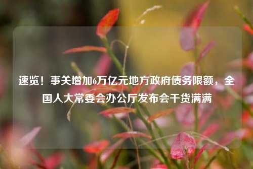 速览！事关增加6万亿元地方政府债务限额，全国人大常委会办公厅发布会干货满满-第1张图片-比分网