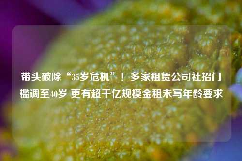 带头破除“35岁危机”！多家租赁公司社招门槛调至40岁 更有超千亿规模金租未写年龄要求-第1张图片-比分网