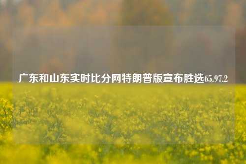 广东和山东实时比分网特朗普版宣布胜选65.97.2-第1张图片-比分网