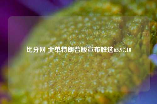 比分网 北单特朗普版宣布胜选65.97.10-第1张图片-比分网