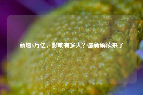 新增6万亿，影响有多大？最新解读来了-第1张图片-比分网