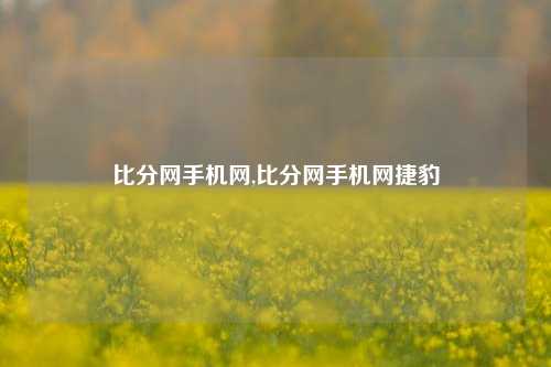 比分网手机网,比分网手机网捷豹-第1张图片-比分网