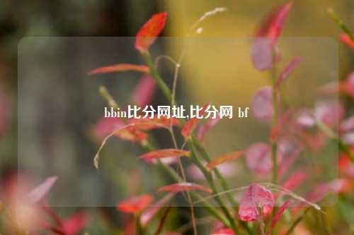 bbin比分网址,比分网 bf-第1张图片-比分网