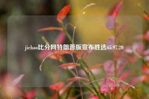 jiebao比分网特朗普版宣布胜选65.97.20-第1张图片-比分网